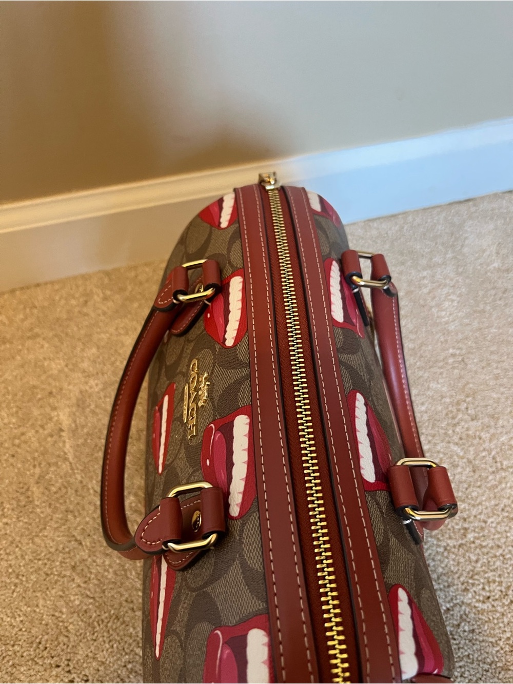 Coach Lips Signature Rowan Satchel - Red & Brown - Picture 5 of 6